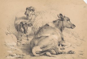Eine Kuh und zwei Widder von Thomas Sidney Cooper
