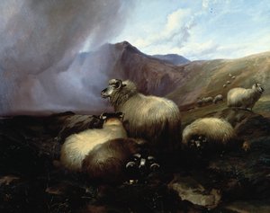 Hochlandschafe in einer bergigen Landschaft, 1854