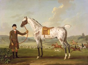 Scipio, Colonel Roches gescheckter Jäger von Thomas Spencer