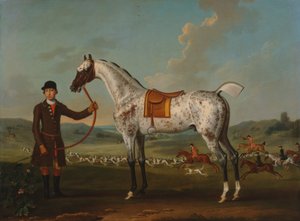 Scipio, ein gefleckter Jäger, Eigentum von Colonel Roche von Thomas Spencer
