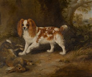Ein Spaniel mit einem toten Hasen von Thomas W. Bretland