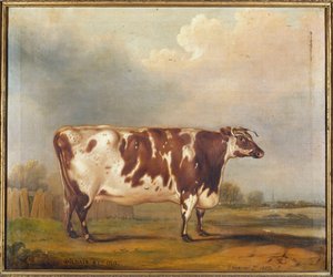 Wildair, eine achtjährige Kuh in einer Flusslandschaft, 1827 von Thomas Weaver