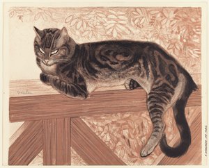 Sommer: Katze auf einer Balustrade