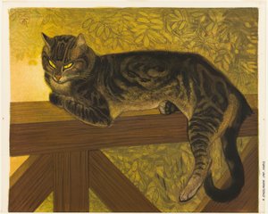 Sommer: Katze auf einer Balustrade