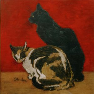 Die Katzen