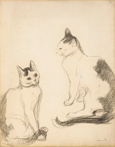 Die zwei Katzen