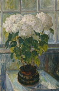 Hortensie von Thorolf Holmboe