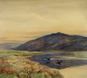 Landschaft mit Vögeln