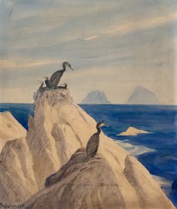Basstölpel von Thorolf Holmboe