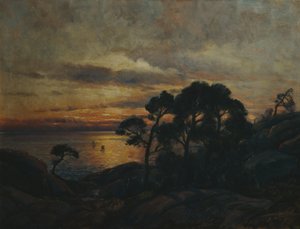 Kiefer am Sonnenuntergang