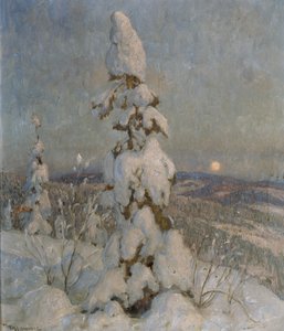 Schneebedeckte Fichte im Mondlicht von Thorolf Holmboe