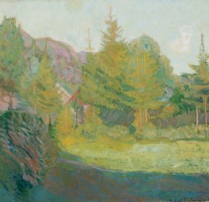Aus Rauland in Telemark