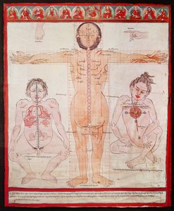 Anatomische Tafel, 1938 (Feder und Aquarell auf Stoff auf Leinwand)