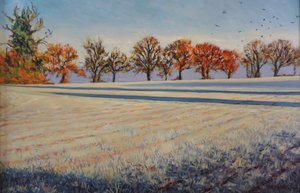 Frost auf dem Feld