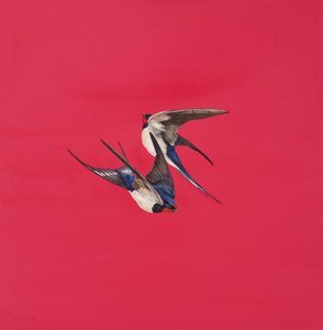 Wirbel-Rot von Tim Hayward