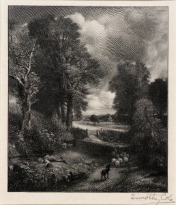 Kornfeld von Timothy Cole