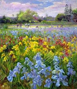 Hackteam und Irisfelder von Timothy Easton