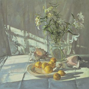 Reflexionen und Schatten von Timothy Easton