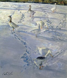 Schatten und Wege von Timothy Easton
