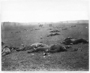 Eine Ernte des Todes von Timothy H. O´Sullivan