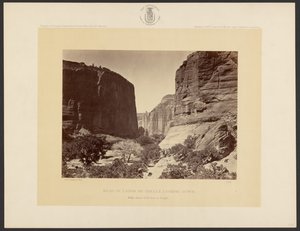 Kopf des Cañon de Chelle, Blick nach unten. Wände etwa 1.200 Fuß hoch. von Timothy H. O