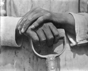 Hände eines Bauarbeiters, Mexiko, 1926