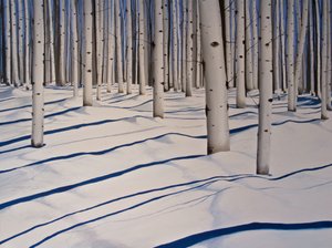 Schneebedeckte Wälder, 2017 von Tina Palmer