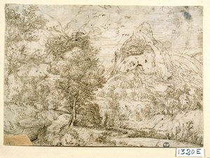 Landschaft mit Vögeln im Flug