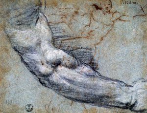 Studie eines Arms, von Tizian (ca. 1488-1576), Zeichnung