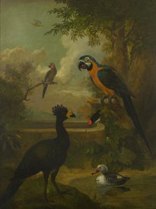 Aras und andere Vögel in einer Landschaft