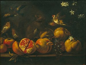 Stillleben mit Granatäpfeln, Trauben, Vögeln und einem Eichhörnchen von Tommaso Realfonso