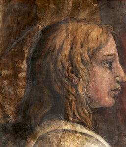 Ein Kopf aus dem Karton für den Wandteppich der Darstellung im Tempel, um 1524 von Tommaso Vincidor