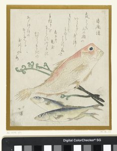 Drei Fische und Adlerfarn