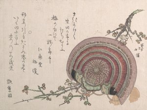 Helm und Pflaumenblüten