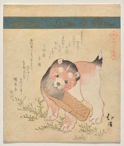 Welpe mit getrockneter Lachsscheibe von Totoya Hokkei