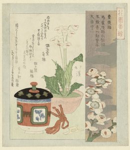Stillleben mit blühender Primel von Totoya Hokkei