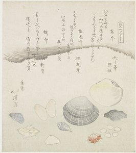Vergessene Muschel, Pflaumenblütenmuschel und Kirschmuschel von Totoya Hokkei