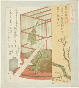 Grasmücke im Käfig, aus der Serie "Eine Serie für die Hanazono-Gruppe (Hanazono bantsuzuki)" von Totoya Hokkei