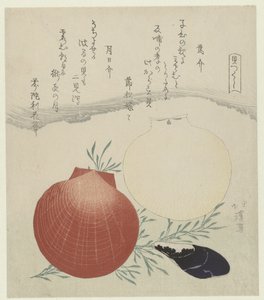 Süßwassermuschel und japanische Sonnen- und Mondmuschel