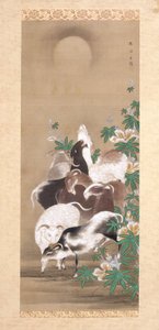 Ziegen und Mond von Toun Kano