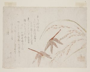 Libellen von Toyota Hokkei