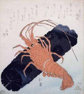 Languste mit einem Stück Kohle, ca. 1830 von Toyota Hokkei