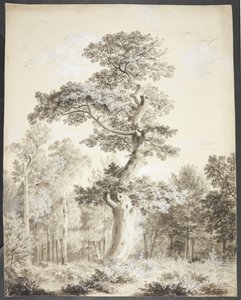 Landschaft mit großem Baum und Jäger