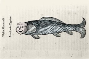 Fischdarstellung von Nicolas Plate, illustriert mit einem Manuskript der Naturgeschichte von Ulisse Aldrovandi (1522-1605), Ulisse Aldrovandi Fonds, Universitätsbibliothek Bologna, ed. 1603 von Ulisse Aldrovandi