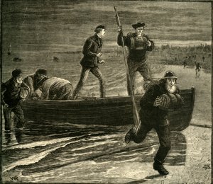 Eine Schmuggelexpedition, 1881