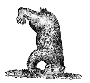 Ein Bär steht auf seinem Kopf, 14. Jahrhundert, 1833 von Unbekannt