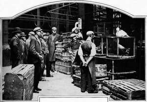 Eine Ecke des Leadenhall-Marktes, London, um 1901 von Unbekannt