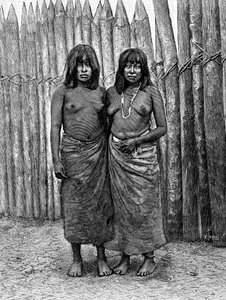 Ein paar Gran Chaco Indianerinnen, Südamerika, 1895 von Unbekannt