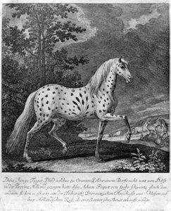 Ein Farbkuriosum, Deutschland, 1722 1938