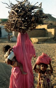 Eine lokale Holzfällerfamilie aus einem Dorf in Rajasthan, Indien. 25. Februar 2005. (Foto)